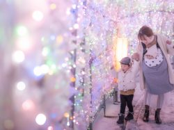 子連れにおすすめのイルミネーションイベント2024【山梨近県編】