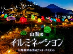 山梨エリアの人気イルミネーション 開催一覧