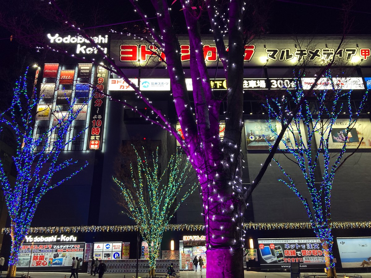 Fantasia Kofu