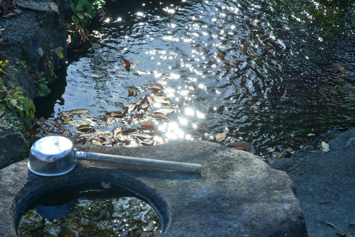 寺茶房 喫茶去×OneNoteCoffeeRoaster 1