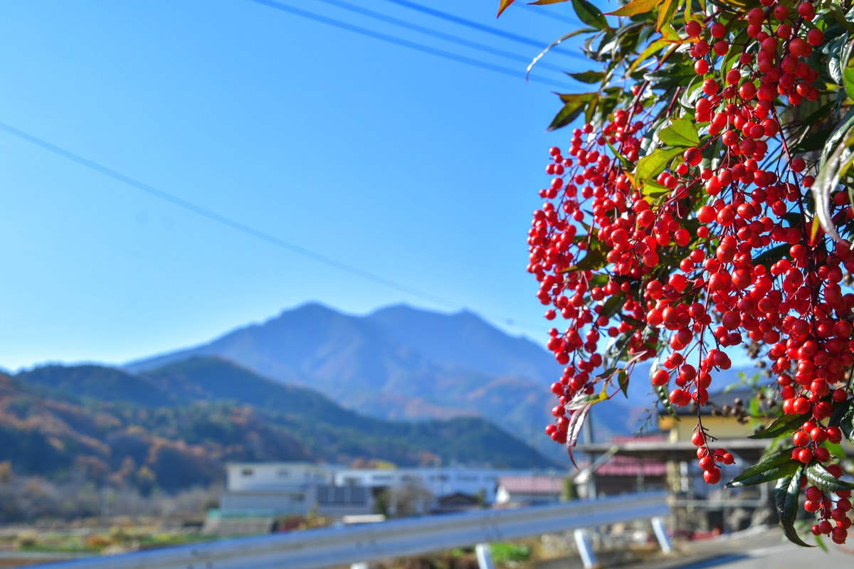 寺茶房 喫茶去×OneNoteCoffeeRoaster 1