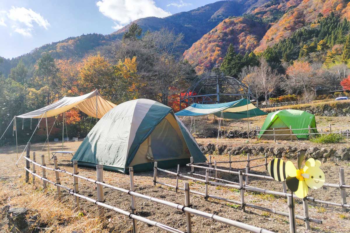 平須CAMP21