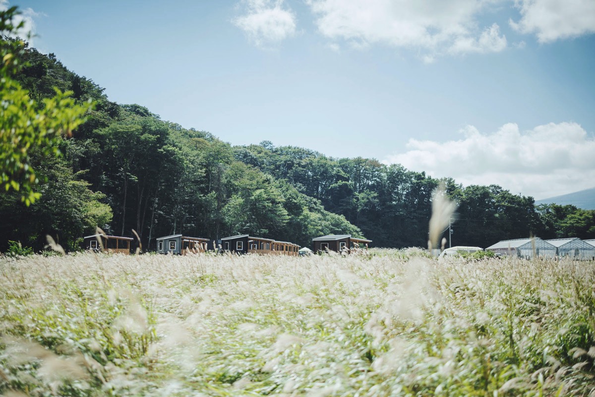 moss camp fieldの写真 8