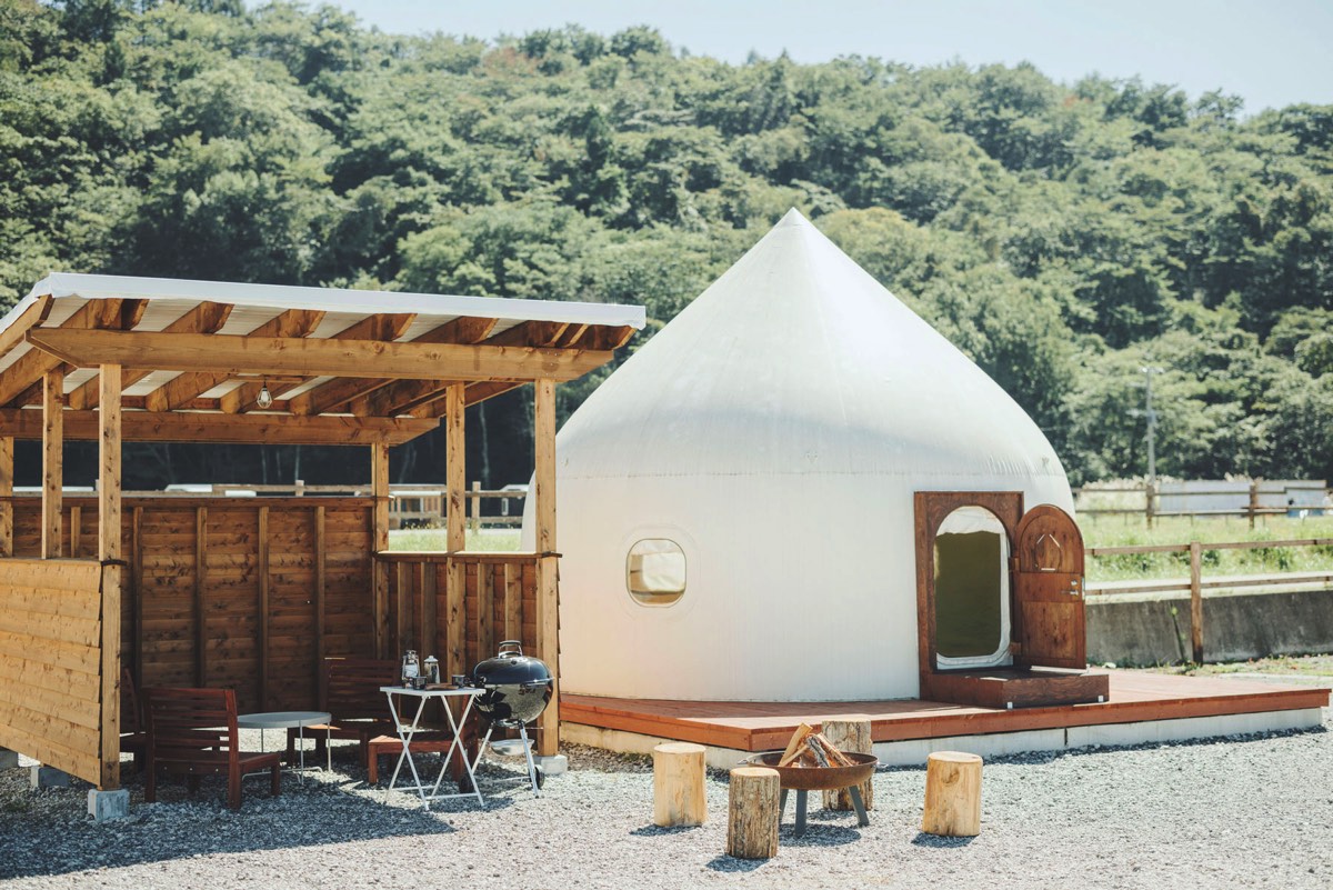 moss camp fieldの写真 6