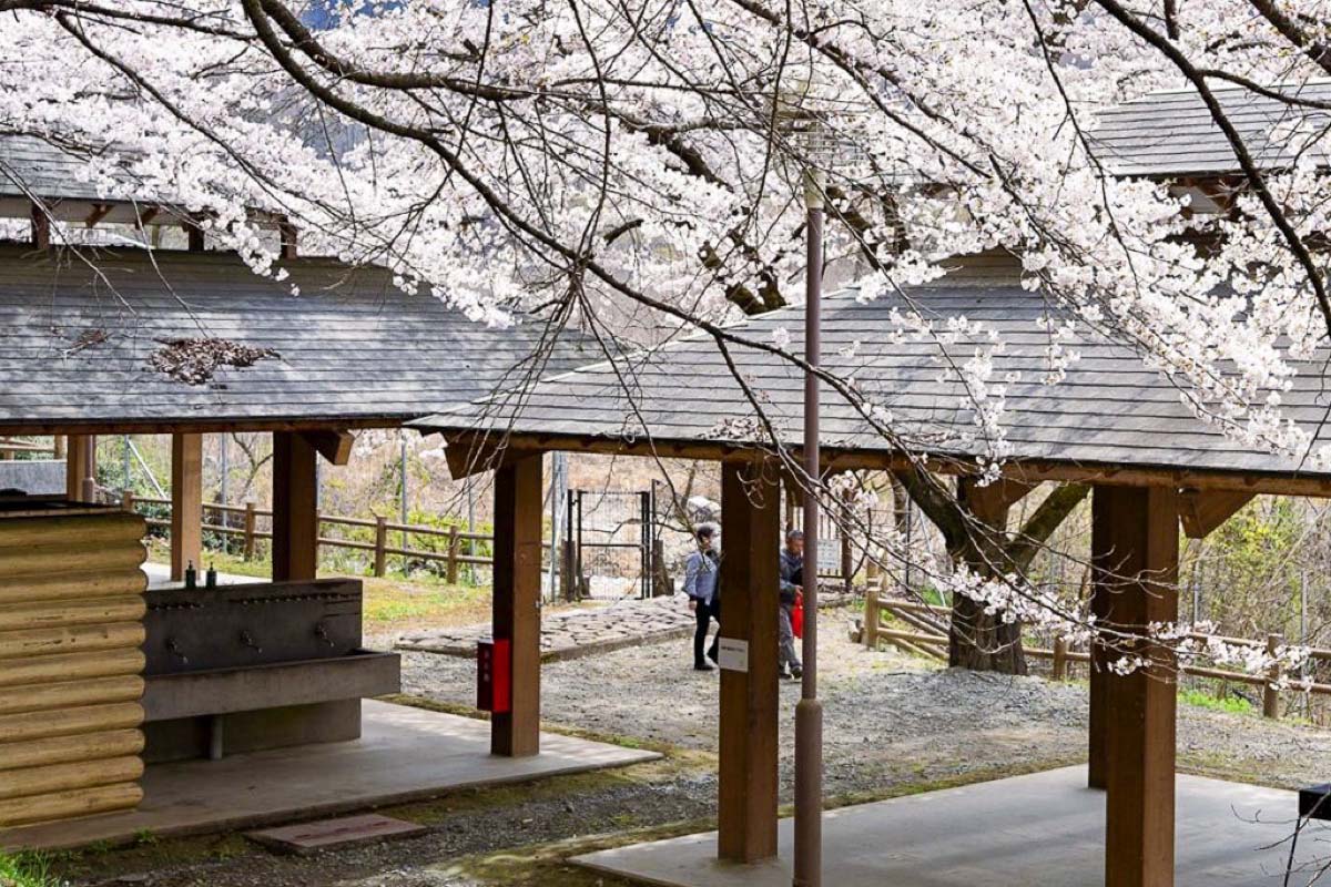 御坂路さくら公園 写真1