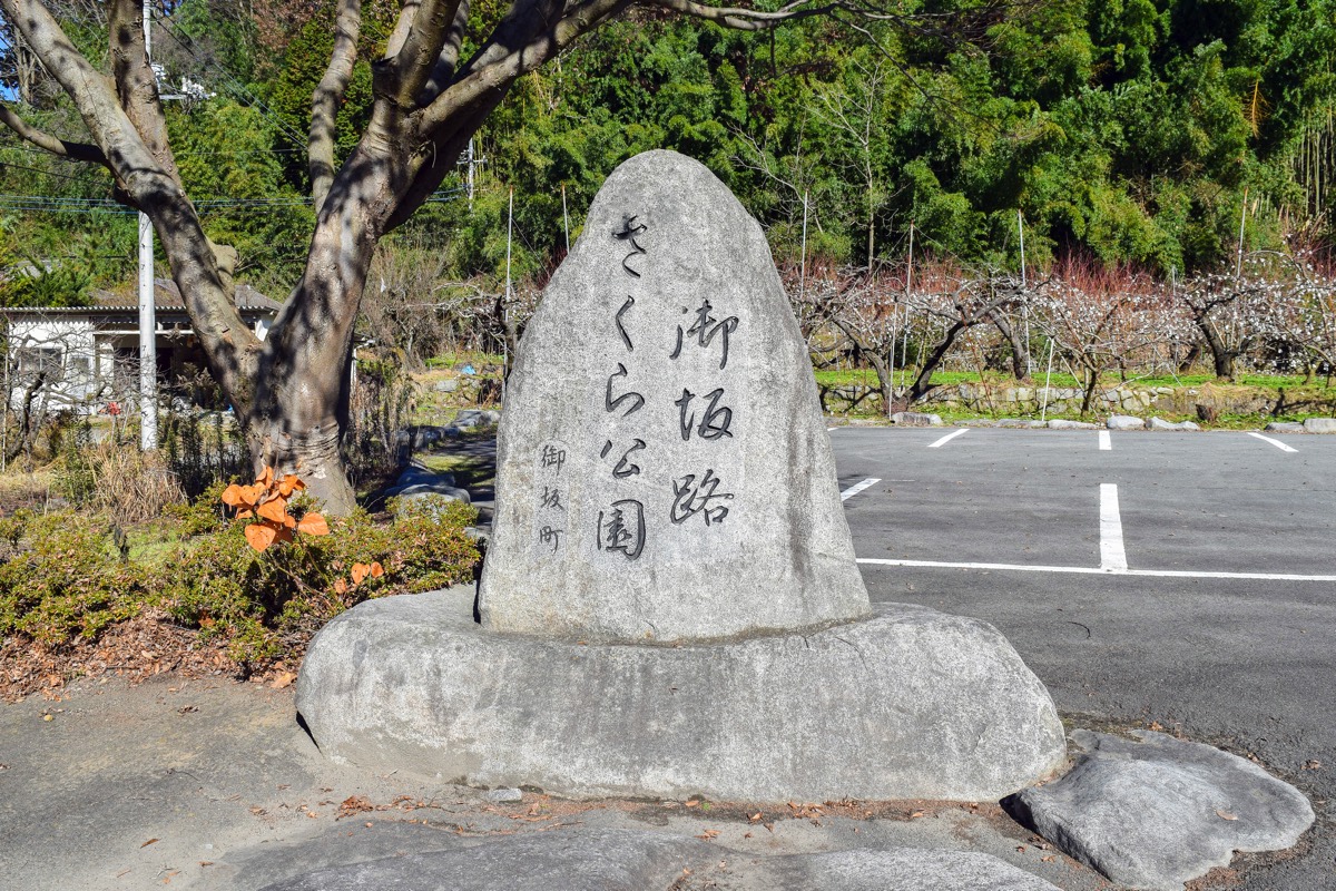 御坂路さくら公園 写真2