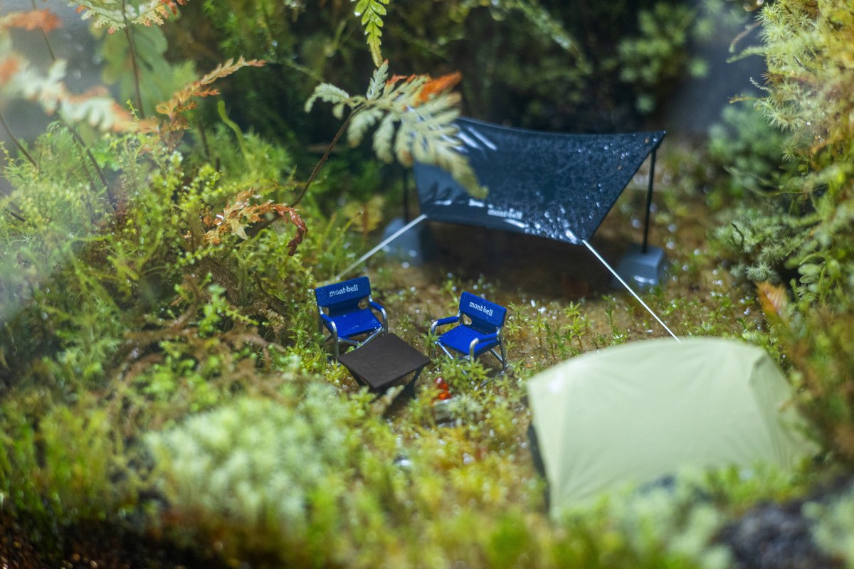 moss camp field 写真2