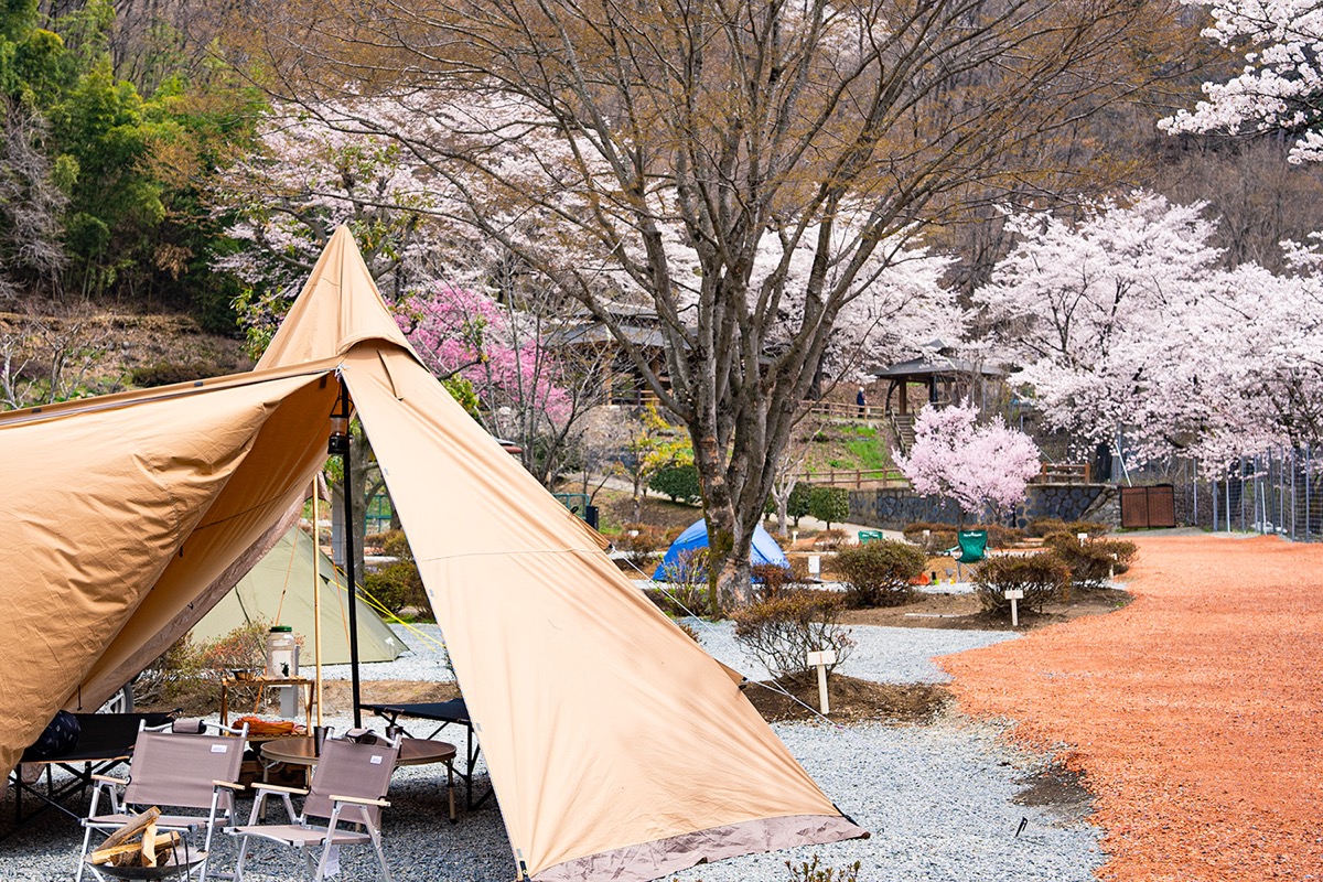 御坂路さくら公園オートキャンプ場の写真 2