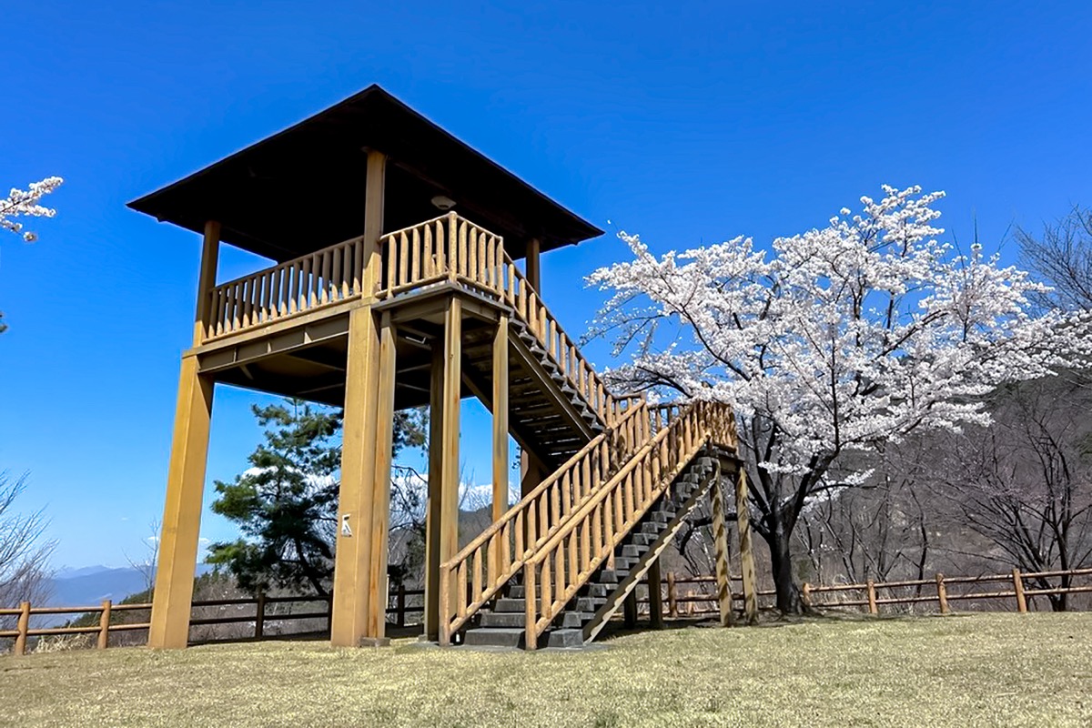 御坂路さくら公園オートキャンプ場の写真 6