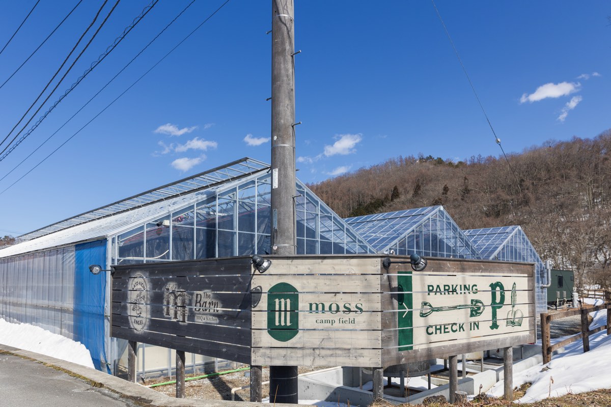 moss camp field 写真1