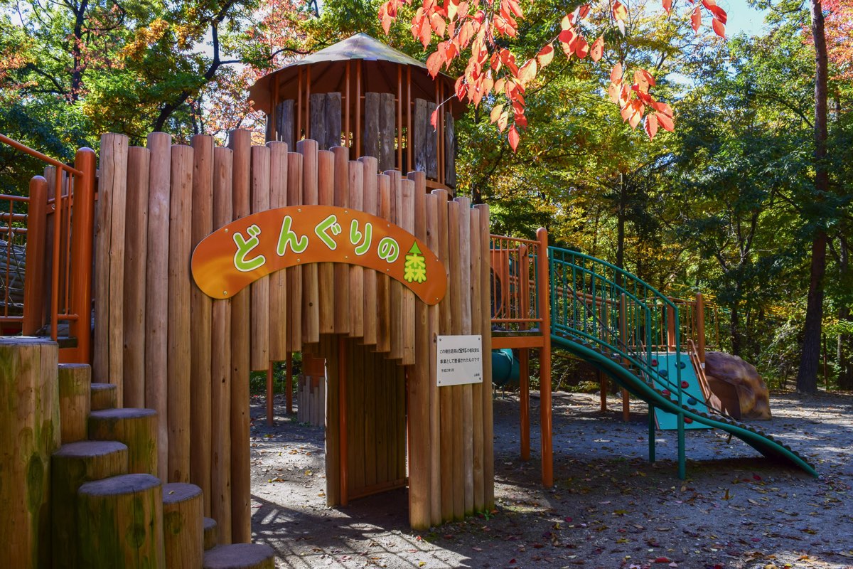 山梨県森林公園金川の森