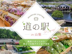 山梨県の道の駅一覧 全22駅