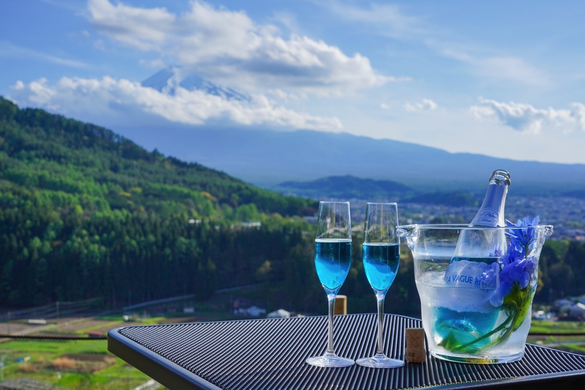 杓子山ゲートウェイキャンプ 乾杯