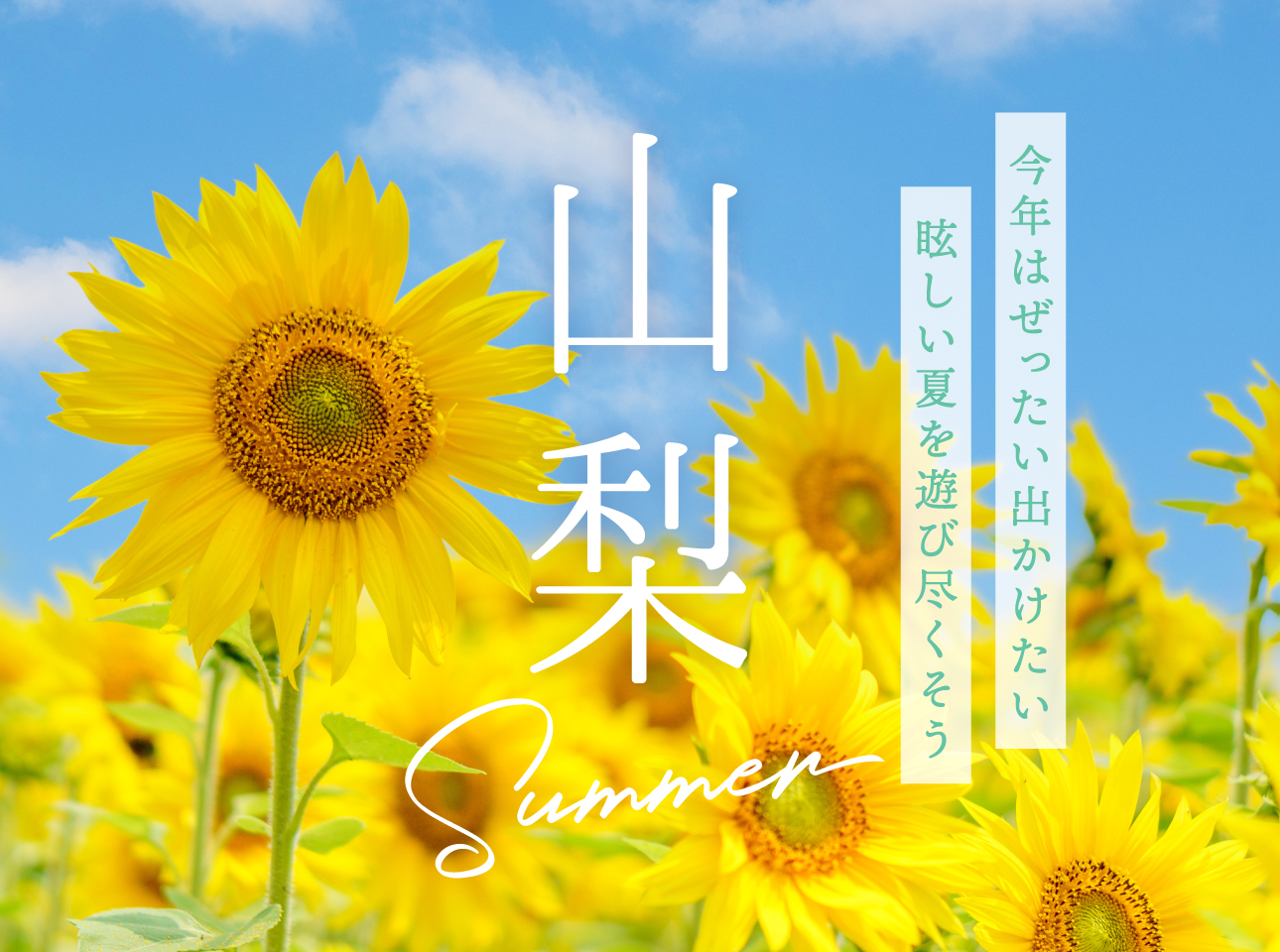 山梨の観光～地元民が選ぶ夏におすすめしたいスポット