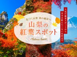山梨の人気紅葉スポット2025秋～富士との競演や知られざる穴場まで