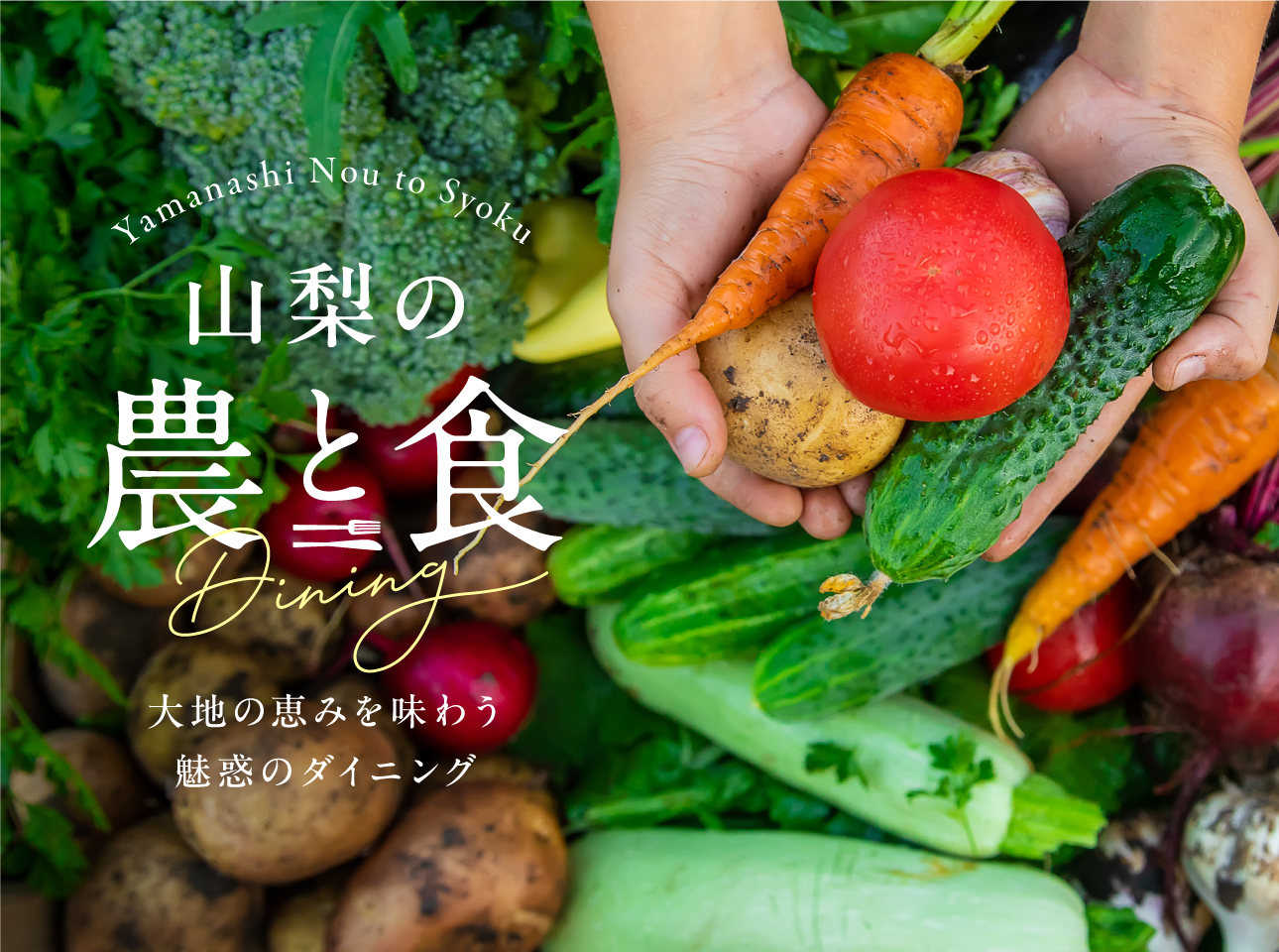 農と食特集