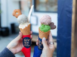 ice ice ice cream
