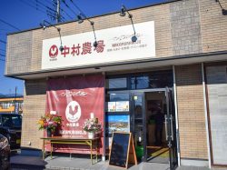 中村農場中央店