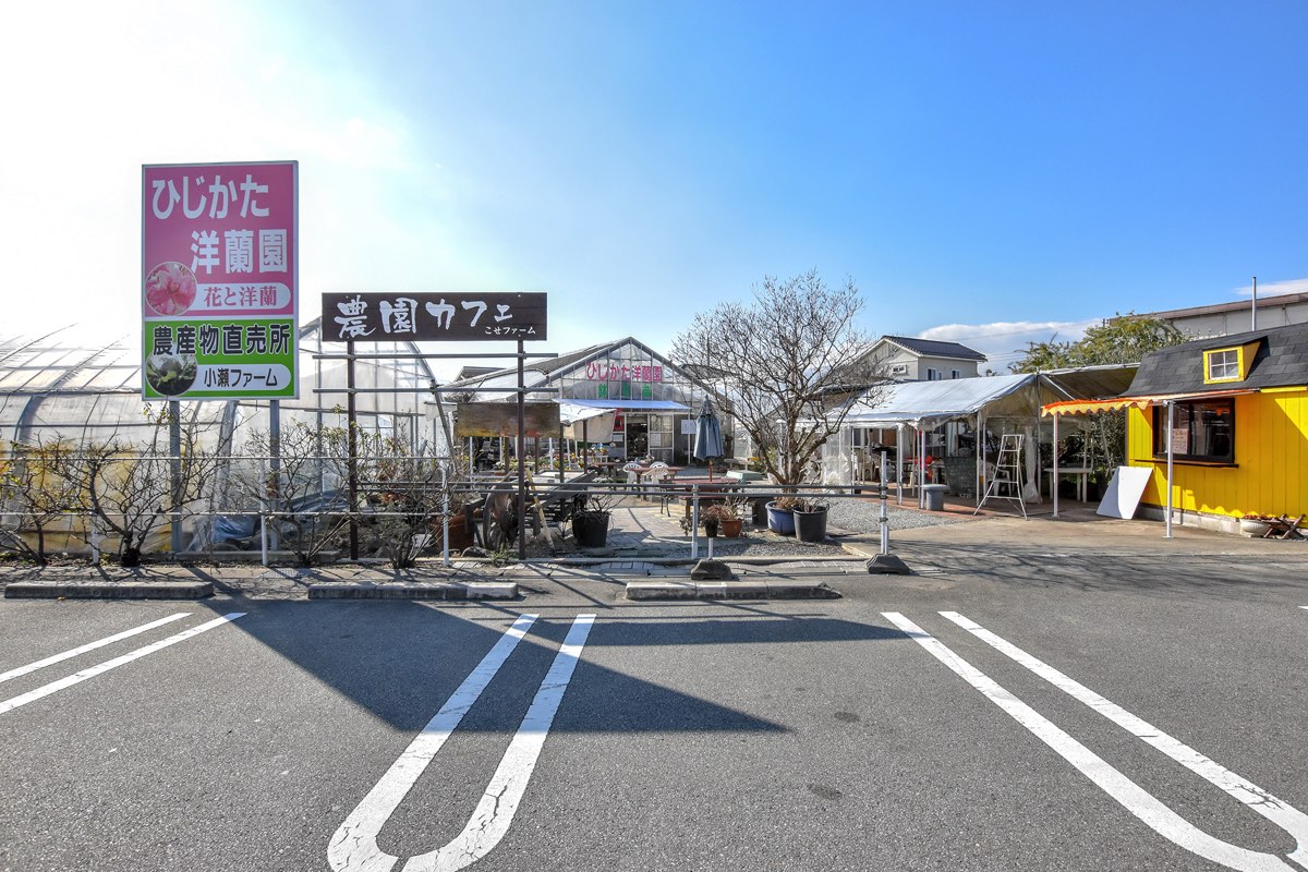 ひじかた洋蘭園 いちご園 写真3