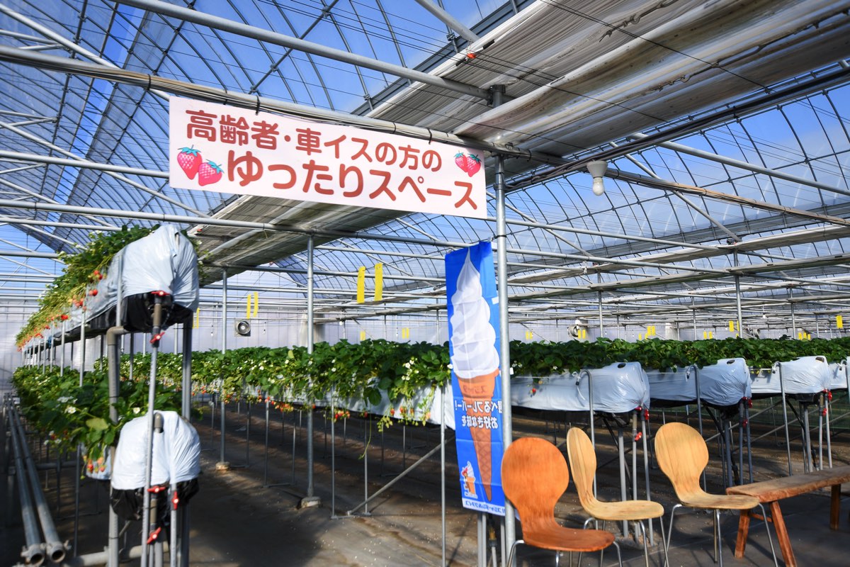 昭和やさい畑いちご園みない 写真3