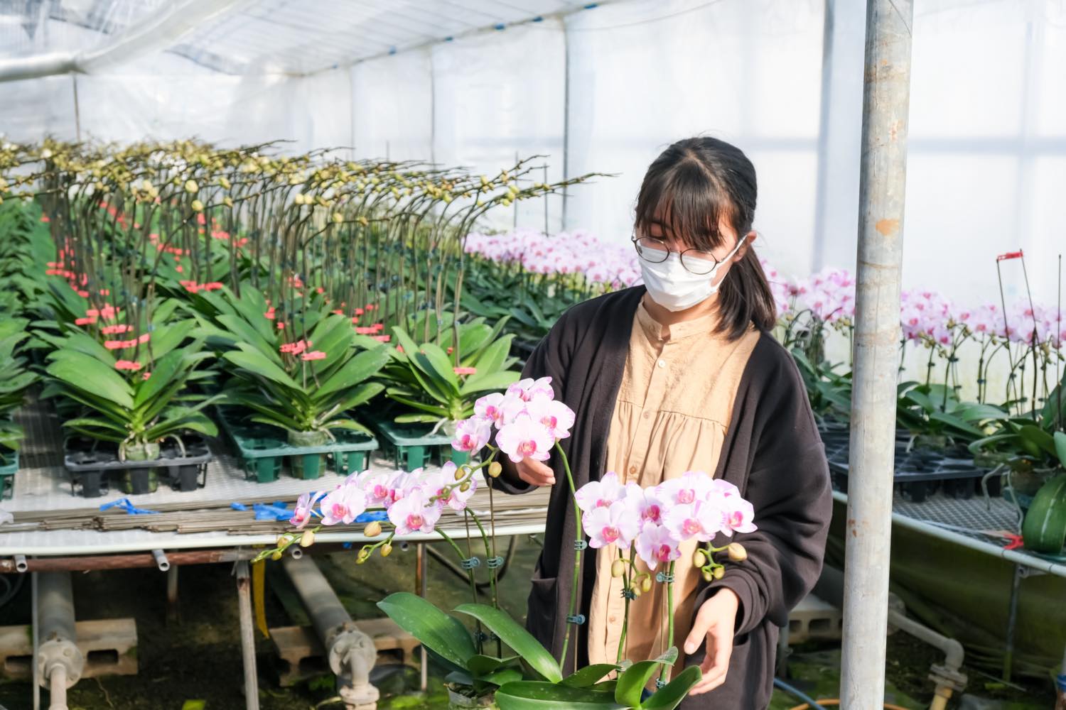 宮林 知花 有限会社奥山洋蘭園 写真3