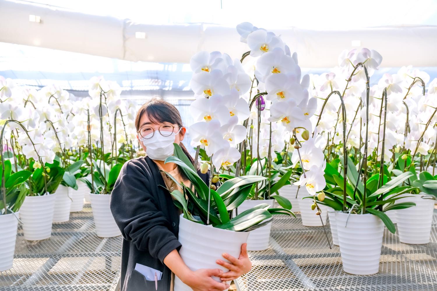 宮林 知花 有限会社奥山洋蘭園 写真4
