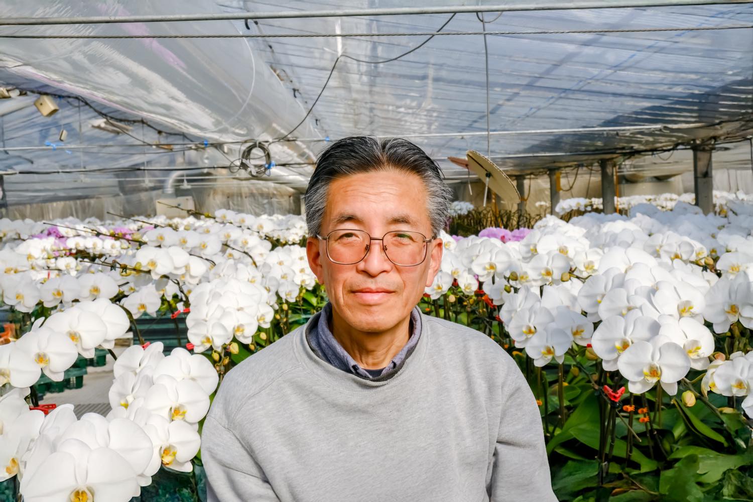田中 健太 有限会社奥山洋蘭園 写真1