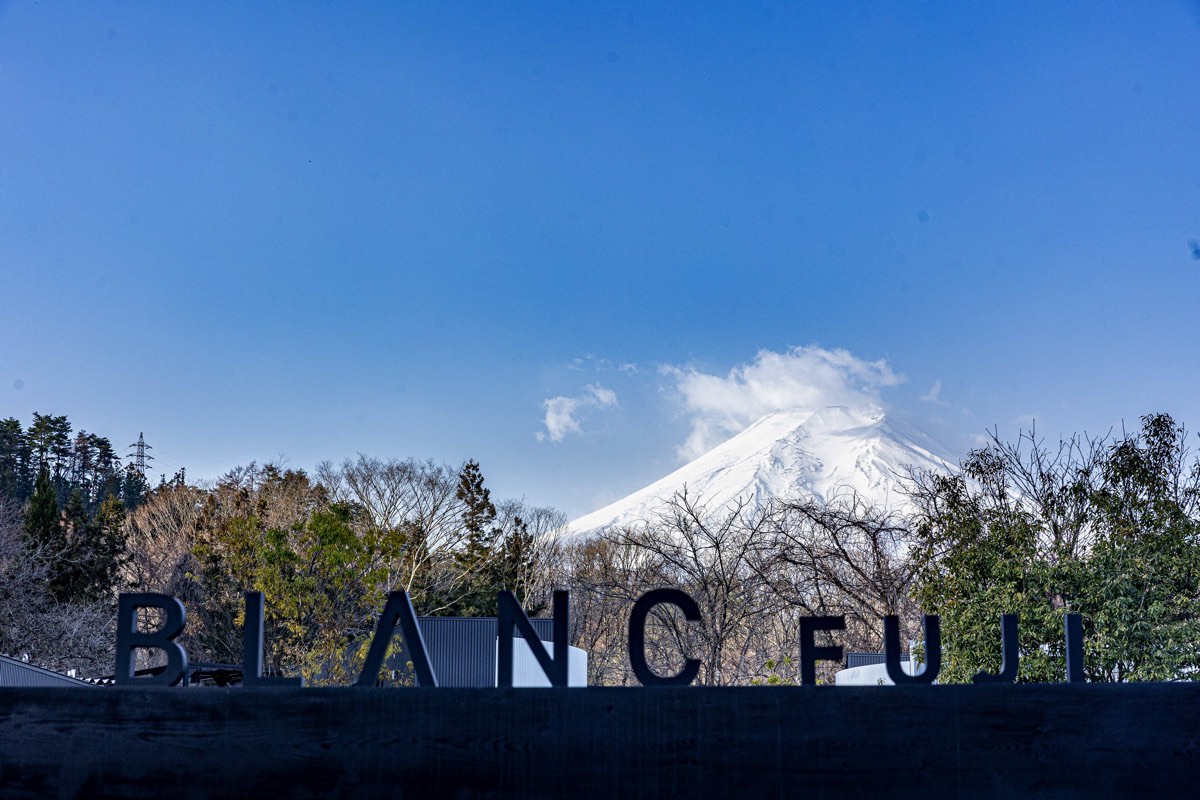 BLANC FUJI