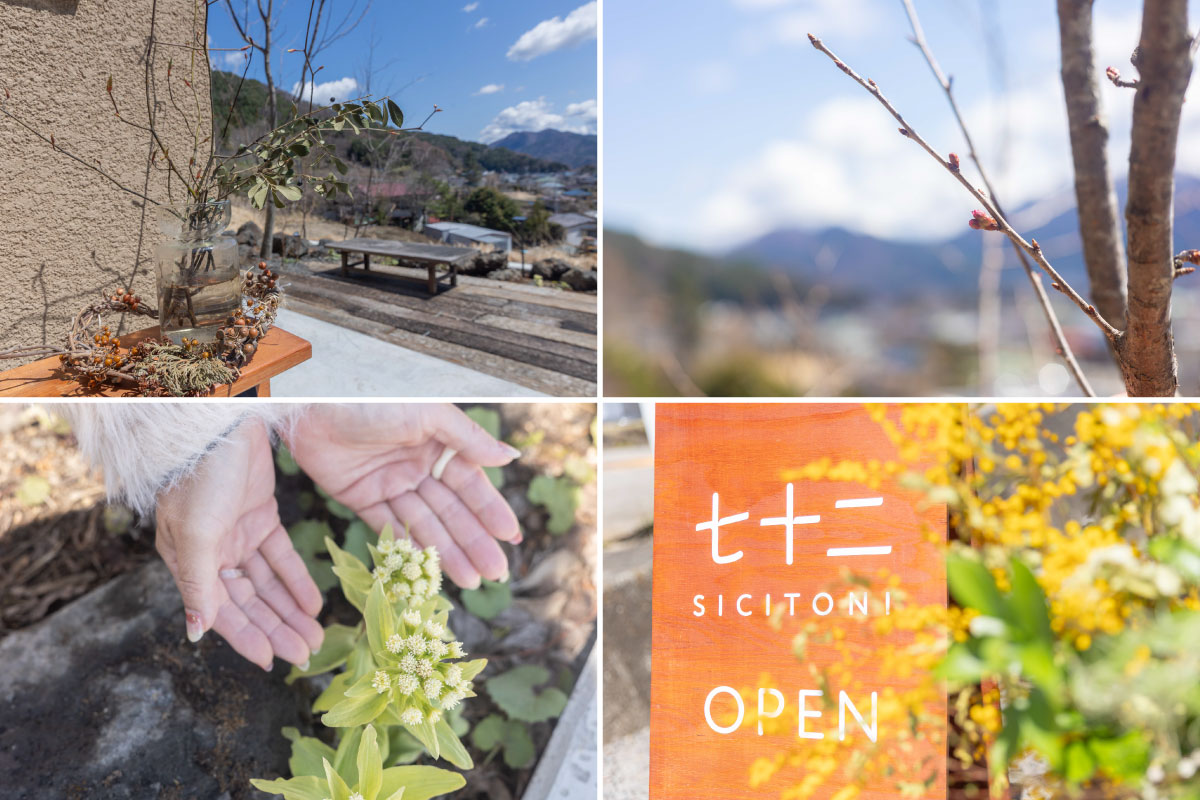 七十二-SICITONI-