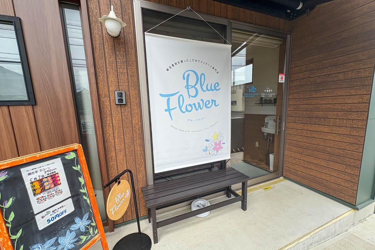 Blue Flower