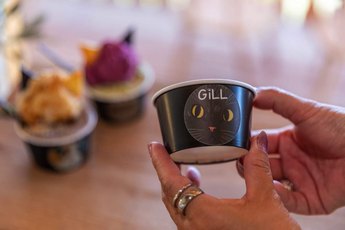 GiLL by le.chat.des.bois