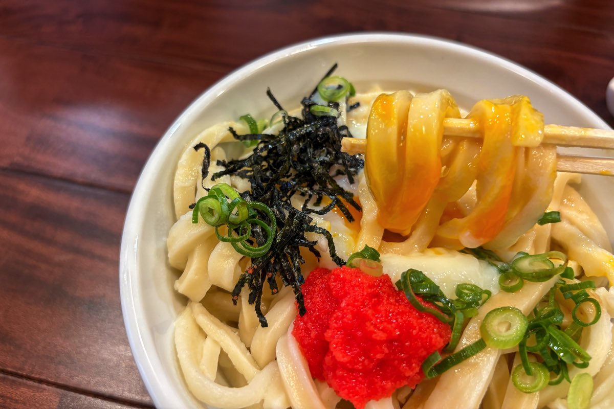 自家製麺 うどんの月見