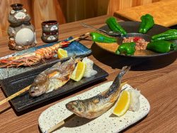 酒場 はん魚どん