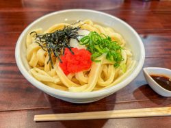 自家製麺 うどんの月見