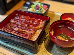 うなぎ割烹 石水庭 横内