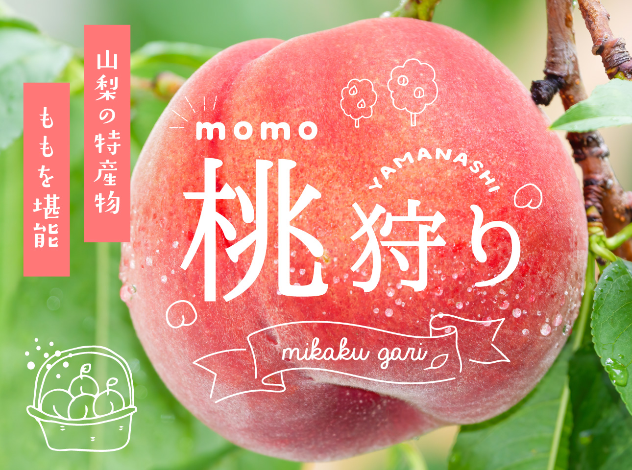 山梨桃狩り特集