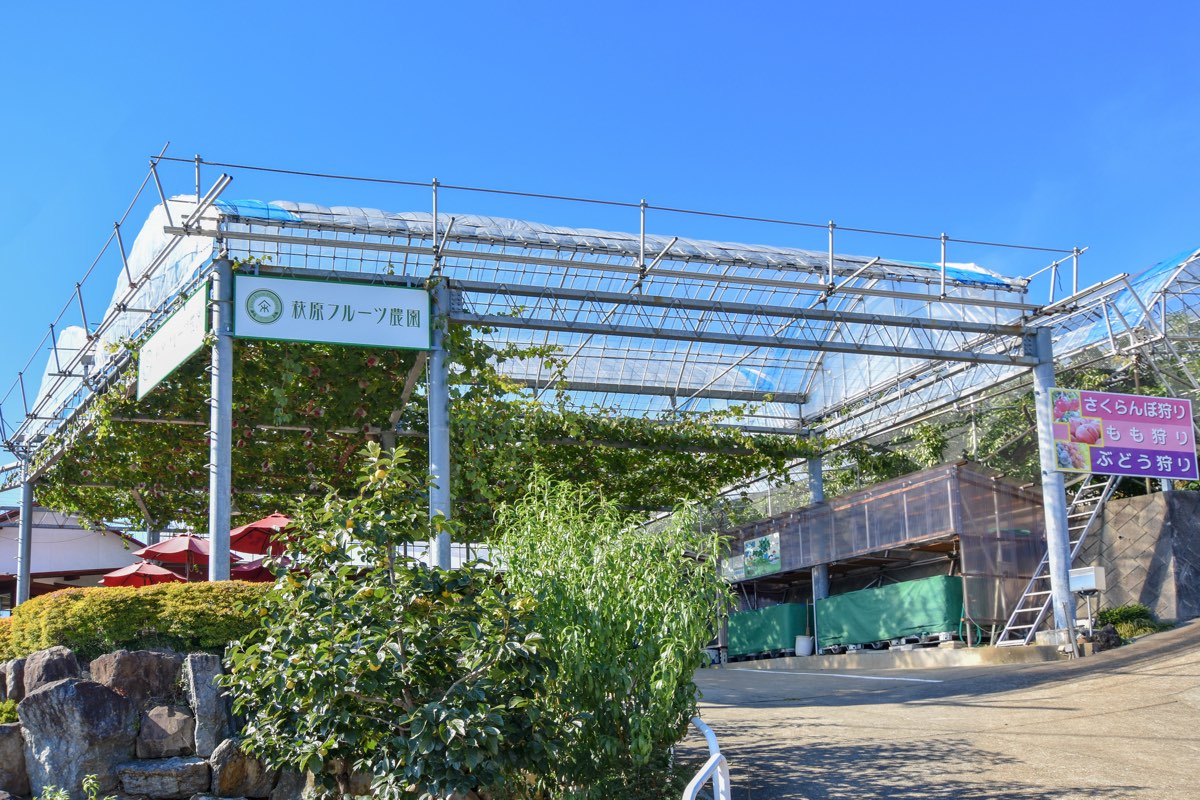 萩原フルーツ農園 写真3