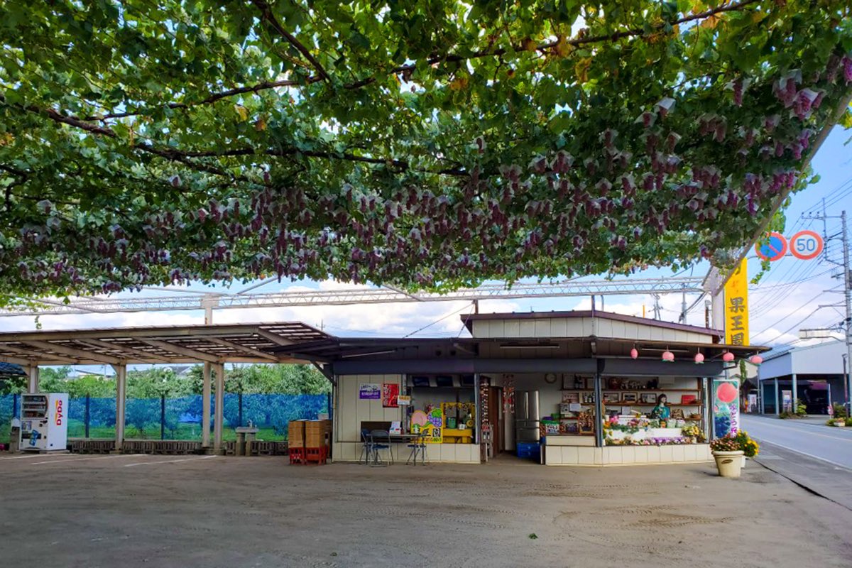 果王園 写真3