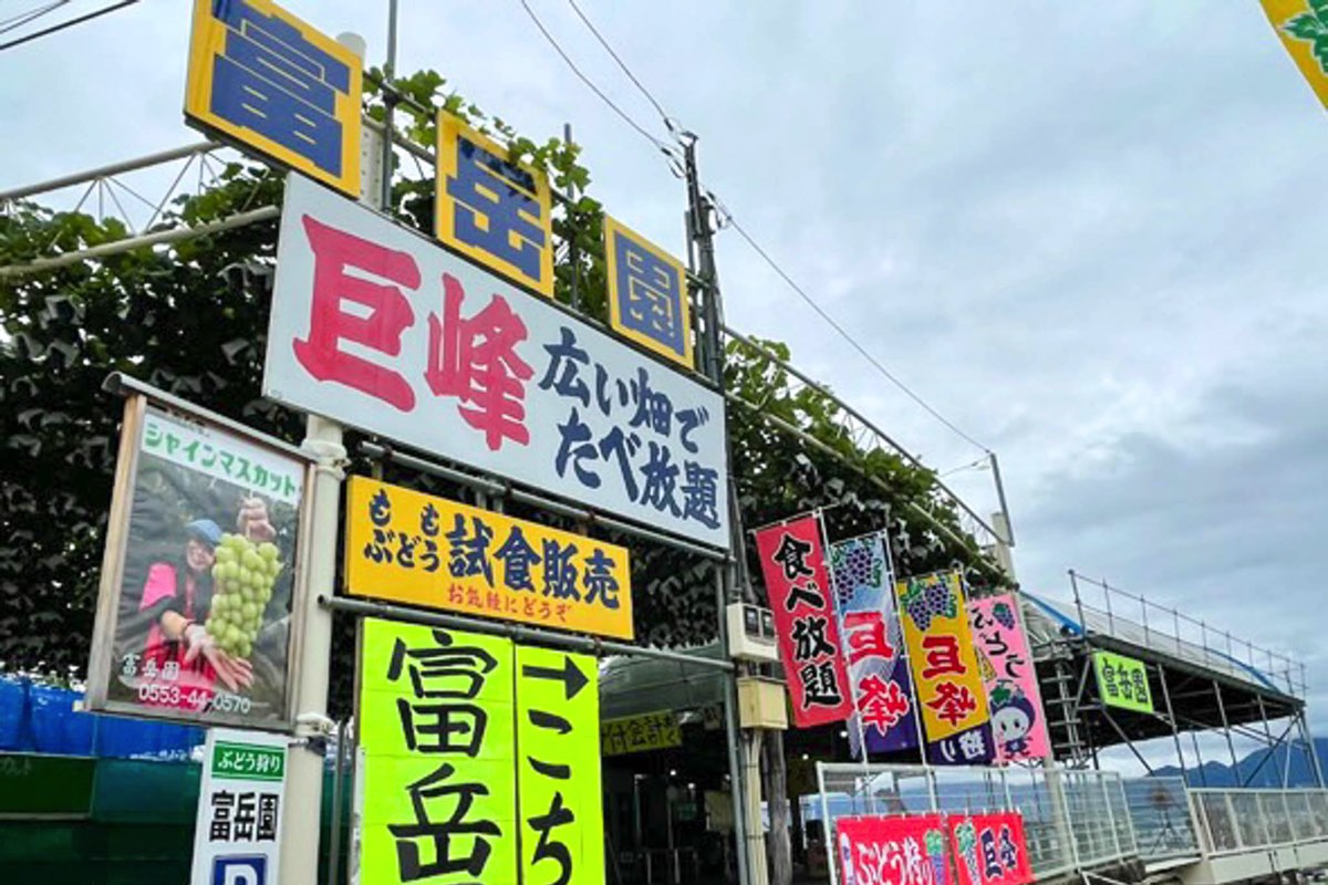 富岳園 写真4