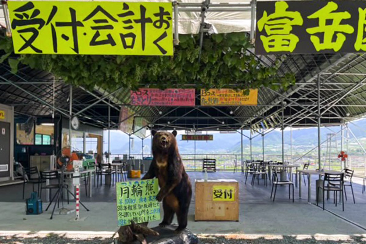 富岳園 写真3