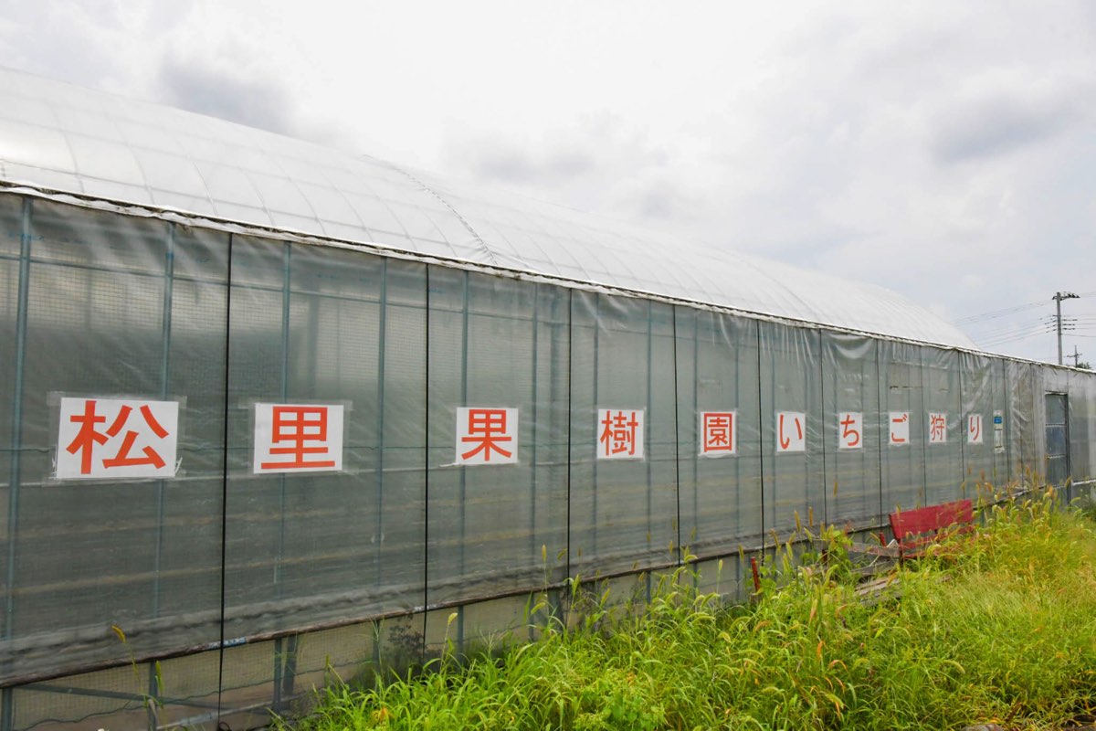 くだもの王国 写真3
