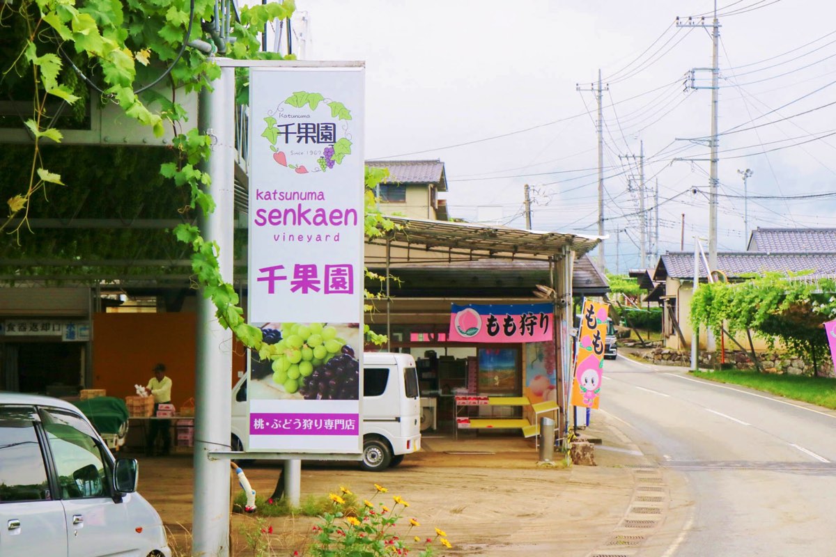 みはらしの千果園 写真3