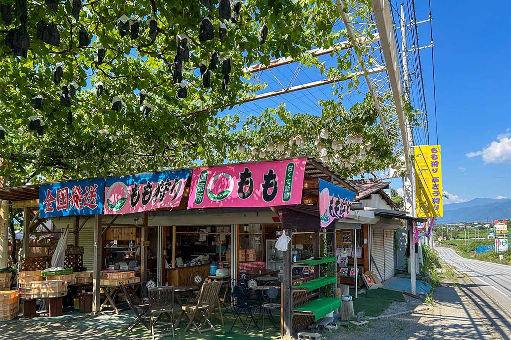 野澤観光園 写真4