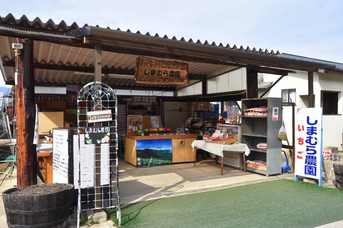 しまむら農園 写真3