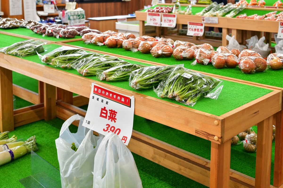 道の駅 しらね