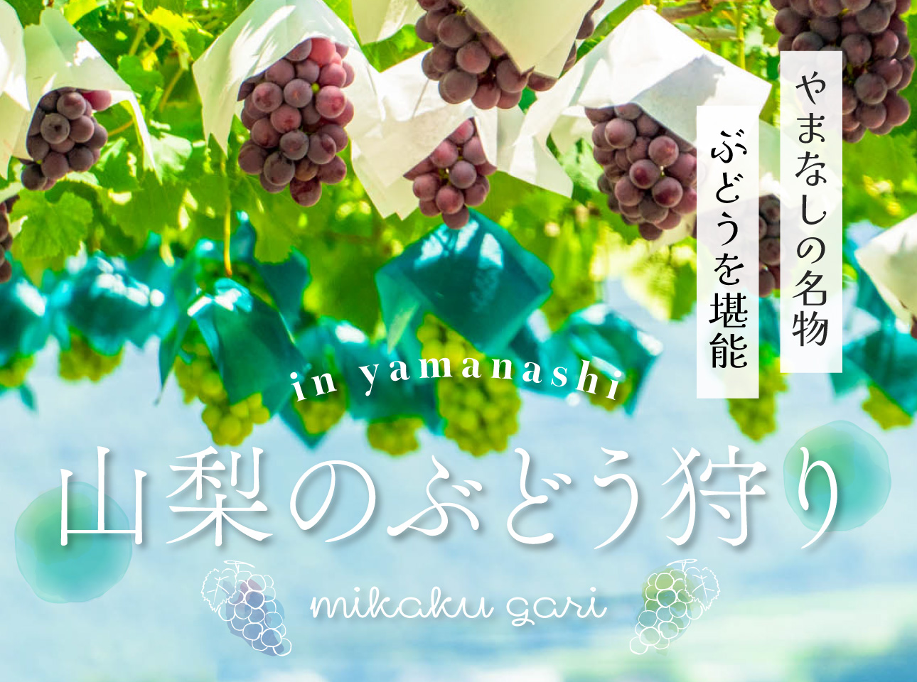 山梨ぶどう狩り特集