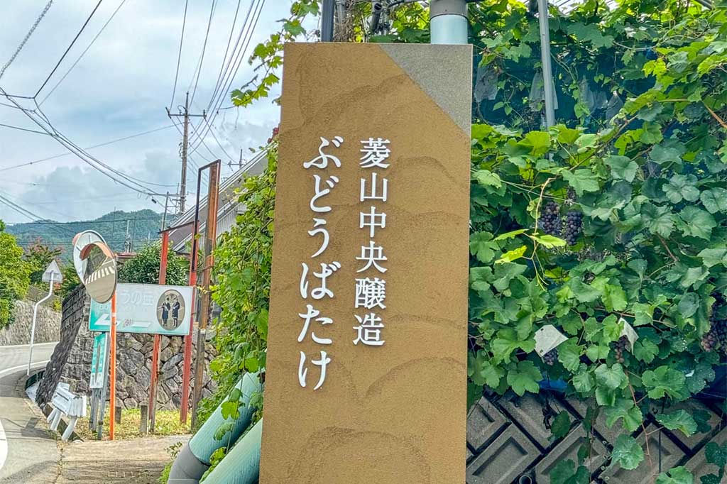 ぶどうばたけ 写真4