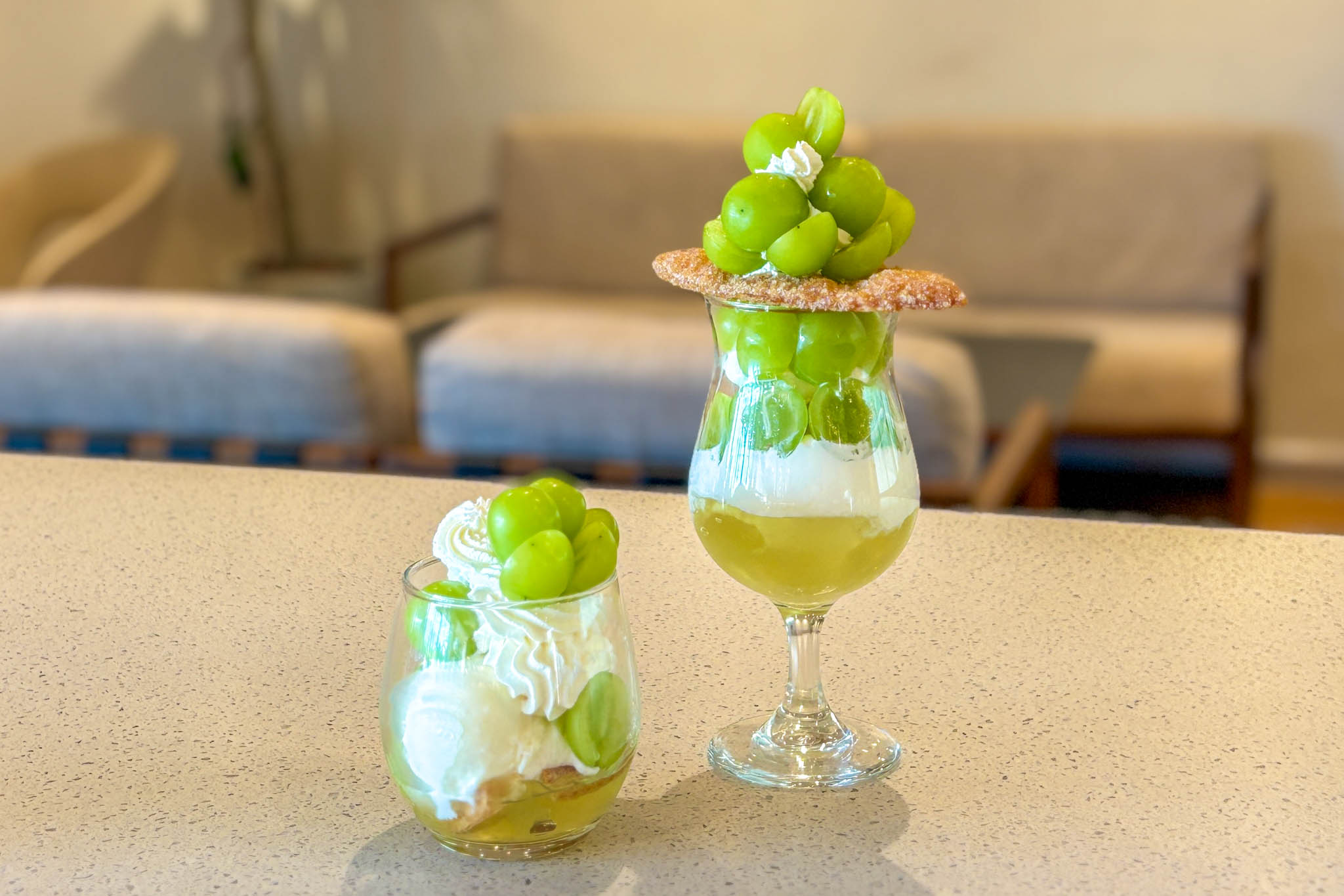 Chateraise PREMIUM YATSUDOKI TERRACE 石和 シャインフォレスト
