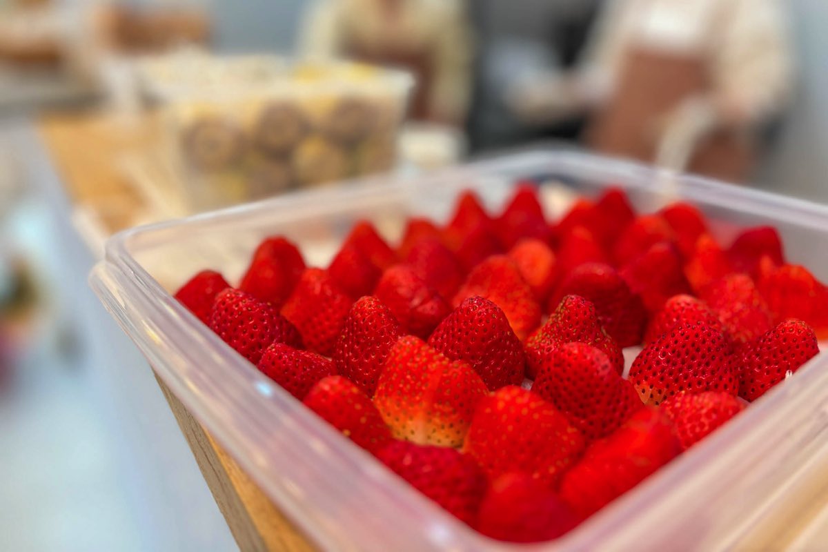 breezy treats