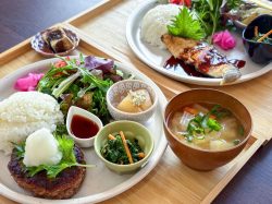 寺カフェ いちょうの樹